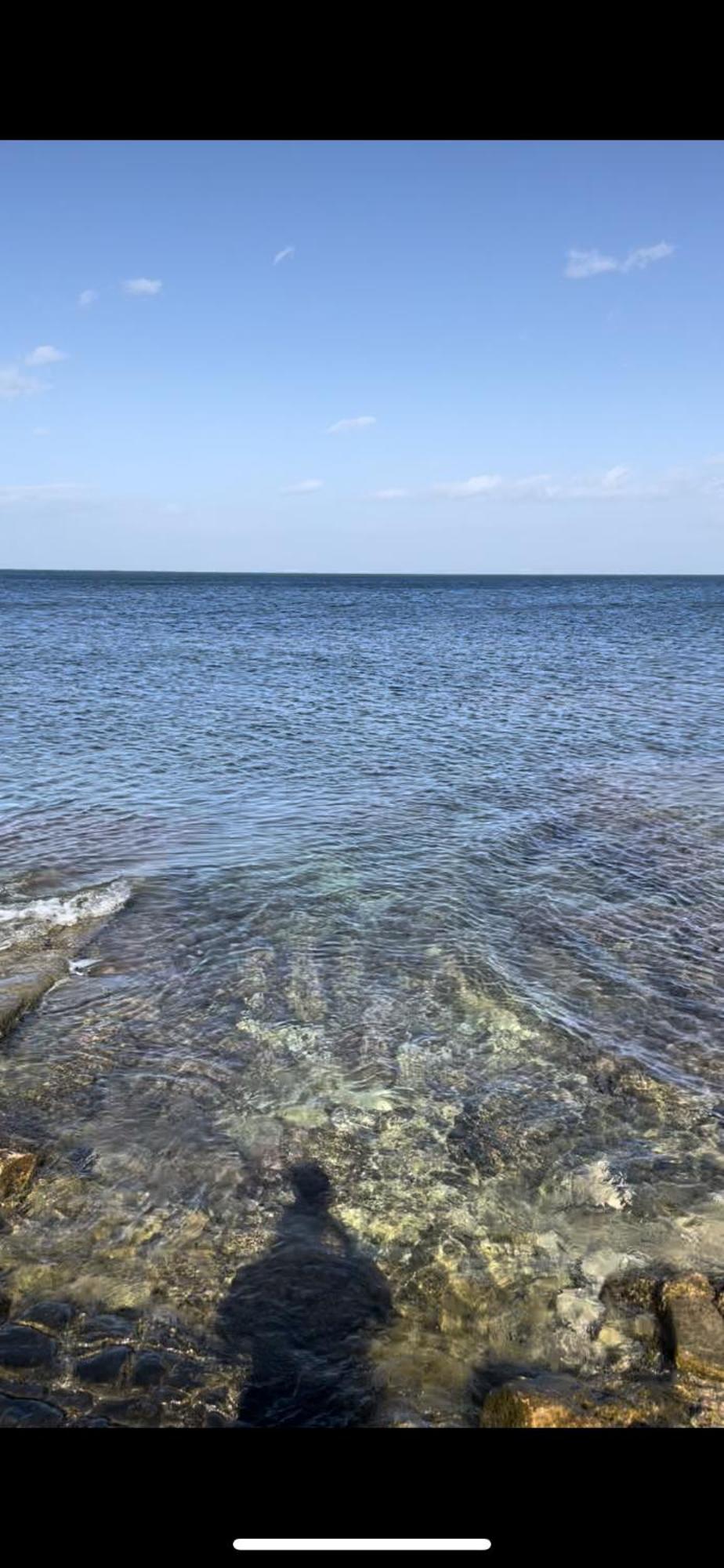 La Villetta Sul Mare Bari Bagian luar foto